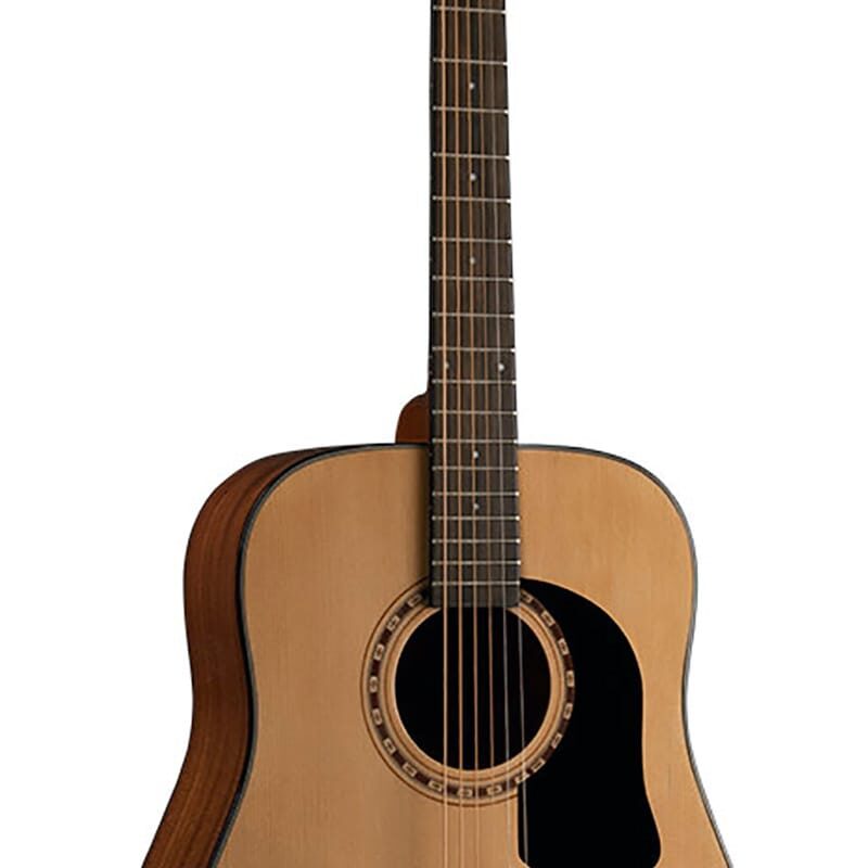 GUITARRA WASHBURN TEXANA AD5A