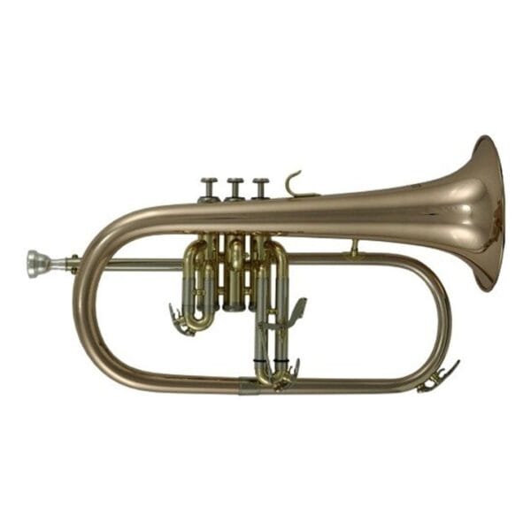 FLISCORNO ROY BENSON C/ESTUCHE FH302G
