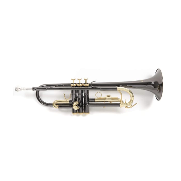 TROMPETA ROY BENSON C/ESTUCHE TR101K